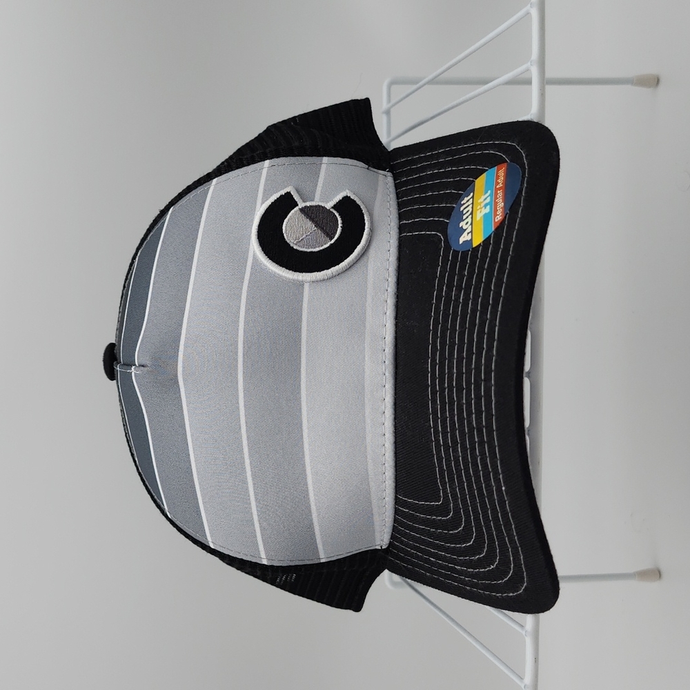 NWT YoColorado Monochromatic Fader Trucker Hat